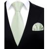 imageHISDERN Ties for Men Stripe Plaid Tie Classic Necktie Pocket Square Cufflinks Set for Formal Wedding Business PartySage Green