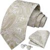 imageHISDERN Mens Tie Set Classic Woven Ties and Pocket Square Cufflinks Set Formal Business Wedding Neckties HandkerchiefEchampagne