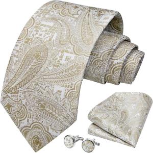 imageHISDERN Mens Tie Set Classic Woven Ties and Pocket Square Cufflinks Set Formal Business Wedding Neckties HandkerchiefEchampagne