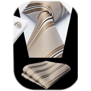 imageHISDERN Ties for Men Stripe Plaid Tie Classic Necktie Pocket Square Cufflinks Set for Formal Wedding Business PartyChampagne