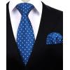 imageHISDERN Polka Dot Ties for Men Classic Silk Ties and Pocket Square Formal Business Necktie Handkerchief Wedding PartyAblue  White