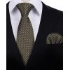 imageHISDERN Polka Dot Ties for Men Classic Silk Ties and Pocket Square Formal Business Necktie Handkerchief Wedding PartyAbrown  White