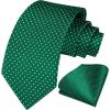 imageHISDERN Polka Dot Ties for Men Classic Silk Ties and Pocket Square Formal Business Necktie Handkerchief Wedding PartyAgreen  White