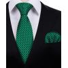 imageHISDERN Polka Dot Ties for Men Classic Silk Ties and Pocket Square Formal Business Necktie Handkerchief Wedding PartyAgreen  White
