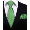 imageHISDERN Polka Dot Ties for Men Classic Silk Ties and Pocket Square Formal Business Necktie Handkerchief Wedding PartyAlawn Green  Blue 1