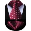 imageHISDERN Polka Dot Ties for Men Classic Silk Ties and Pocket Square Formal Business Necktie Handkerchief Wedding PartyAmaroon  White 1