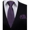 imageHISDERN Polka Dot Ties for Men Classic Silk Ties and Pocket Square Formal Business Necktie Handkerchief Wedding PartyApurple  White