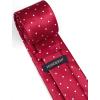 imageHISDERN Polka Dot Ties for Men Classic Silk Ties and Pocket Square Formal Business Necktie Handkerchief Wedding PartyAred  White