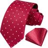imageHISDERN Polka Dot Ties for Men Classic Silk Ties and Pocket Square Formal Business Necktie Handkerchief Wedding PartyAred  White