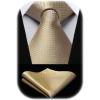 imageHISDERN Polka Dot Ties for Men Classic Silk Ties and Pocket Square Formal Business Necktie Handkerchief Wedding PartyChampagne