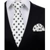 imageHISDERN Polka Dot Ties for Men Classic Silk Ties and Pocket Square Formal Business Necktie Handkerchief Wedding PartyCwhite  Black 1
