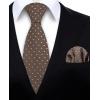 imageHISDERN Polka Dot Ties for Men Classic Silk Ties and Pocket Square Formal Business Necktie Handkerchief Wedding PartyDbrown