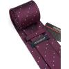 imageHISDERN Polka Dot Ties for Men Classic Silk Ties and Pocket Square Formal Business Necktie Handkerchief Wedding PartyDdark Purple