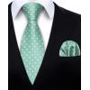 imageHISDERN Polka Dot Ties for Men Classic Silk Ties and Pocket Square Formal Business Necktie Handkerchief Wedding PartyDgreen