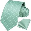 imageHISDERN Polka Dot Ties for Men Classic Silk Ties and Pocket Square Formal Business Necktie Handkerchief Wedding PartyDgreen