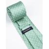 imageHISDERN Polka Dot Ties for Men Classic Silk Ties and Pocket Square Formal Business Necktie Handkerchief Wedding PartyDgreen