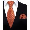 imageHISDERN Polka Dot Ties for Men Classic Silk Ties and Pocket Square Formal Business Necktie Handkerchief Wedding PartyDorange