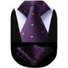 imageHISDERN Polka Dot Ties for Men Classic Silk Ties and Pocket Square Formal Business Necktie Handkerchief Wedding PartyDpurple  Orange