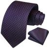 imageHISDERN Polka Dot Ties for Men Classic Silk Ties and Pocket Square Formal Business Necktie Handkerchief Wedding PartyDpurple
