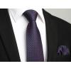 imageHISDERN Polka Dot Ties for Men Classic Silk Ties and Pocket Square Formal Business Necktie Handkerchief Wedding PartyDpurple