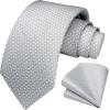imageHISDERN Polka Dot Ties for Men Classic Silk Ties and Pocket Square Formal Business Necktie Handkerchief Wedding PartyFsilver  Grey