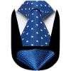 imageHISDERN Polka Dot Ties for Men Classic Silk Ties and Pocket Square Formal Business Necktie Handkerchief Wedding PartyAblue  White