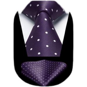 imageHISDERN Polka Dot Ties for Men Classic Silk Ties and Pocket Square Formal Business Necktie Handkerchief Wedding PartyApurple  White