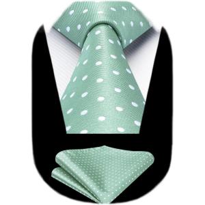 imageHISDERN Polka Dot Ties for Men Classic Silk Ties and Pocket Square Formal Business Necktie Handkerchief Wedding PartyDgreen