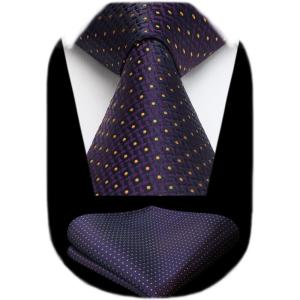 imageHISDERN Polka Dot Ties for Men Classic Silk Ties and Pocket Square Formal Business Necktie Handkerchief Wedding PartyDpurple