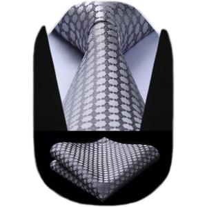 imageHISDERN Polka Dot Ties for Men Classic Silk Ties and Pocket Square Formal Business Necktie Handkerchief Wedding PartyEgray 1