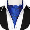 imageHISDERN Ascot Tie Mens Cravat Ties Floral Paisley Polka Dot Jacquard Self Ascots Cravat Scarf Wedding PartyAroyal Blue