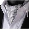 imageHISDERN Ascot Tie Mens Cravat Ties Floral Paisley Polka Dot Jacquard Self Ascots Cravat Scarf Wedding PartyDgray  Silver