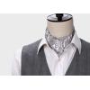 imageHISDERN Ascot Tie Mens Cravat Ties Floral Paisley Polka Dot Jacquard Self Ascots Cravat Scarf Wedding PartyDgray  Silver