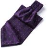 imageHISDERN Ascot Tie Mens Cravat Ties Floral Paisley Polka Dot Jacquard Self Ascots Cravat Scarf Wedding PartyEpurple 2