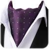 imageHISDERN Ascot Tie Mens Cravat Ties Floral Paisley Polka Dot Jacquard Self Ascots Cravat Scarf Wedding PartyEpurple 2