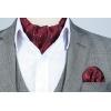 imageHISDERN Ascot Tie Mens Cravat Ties Floral Paisley Polka Dot Jacquard Self Ascots Cravat Scarf Wedding PartyFburgundy