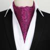 imageHISDERN Ascot Tie Mens Cravat Ties Floral Paisley Polka Dot Jacquard Self Ascots Cravat Scarf Wedding PartyFhot Pink