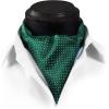 imageHISDERN Ascot Tie Mens Cravat Ties Floral Paisley Polka Dot Jacquard Self Ascots Cravat Scarf Wedding PartyGreen 1