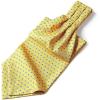 imageHISDERN Ascot Tie Mens Cravat Ties Floral Paisley Polka Dot Jacquard Self Ascots Cravat Scarf Wedding PartyIyellow  Blue