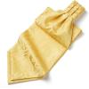 imageHISDERN Ascot Tie Mens Cravat Ties Floral Paisley Polka Dot Jacquard Self Ascots Cravat Scarf Wedding PartyIyellow