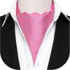 imageHISDERN Ascot Tie Mens Cravat Ties Floral Paisley Polka Dot Jacquard Self Ascots Cravat Scarf Wedding PartyPink
