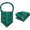 imageHISDERN Ascot Ties for Men Paisley Cravat Tie and Pocket Square Set Floral Mens Ascot Scarf Handkerchief Wedding PartyA02 Dark Green