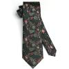 imageHISDERN Christmas Ties for Men Holiday Festival Funny Tie and Pocket Square Set Vacation Xmas Party Necktie HandkerchiefA3 Green