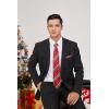 imageHISDERN Christmas Ties for Men Holiday Festival Funny Tie and Pocket Square Set Vacation Xmas Party Necktie HandkerchiefB1 Red  Green  White