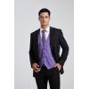 imageHISDERN Mens Suit Vest Plaid Dress Vest for Men Slim Fit Formal Business Waistcoat Tuxedo VNcek Solid Vest for WeddingApurple1