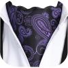 imageHISDERN Ascot Tie Mens Cravat Ties Floral Paisley Polka Dot Jacquard Self Ascots Cravat Scarf Wedding PartyEpurple