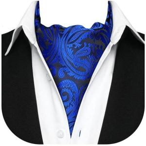 imageHISDERN Ascot Tie Mens Cravat Ties Floral Paisley Polka Dot Jacquard Self Ascots Cravat Scarf Wedding PartyAroyal Blue