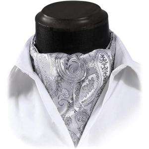 imageHISDERN Ascot Tie Mens Cravat Ties Floral Paisley Polka Dot Jacquard Self Ascots Cravat Scarf Wedding PartyDgray  Silver