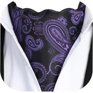 imageHISDERN Ascot Tie Mens Cravat Ties Floral Paisley Polka Dot Jacquard Self Ascots Cravat Scarf Wedding PartyEpurple