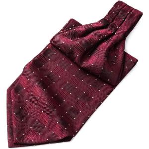 imageHISDERN Ascot Tie Mens Cravat Ties Floral Paisley Polka Dot Jacquard Self Ascots Cravat Scarf Wedding PartyFburgundy